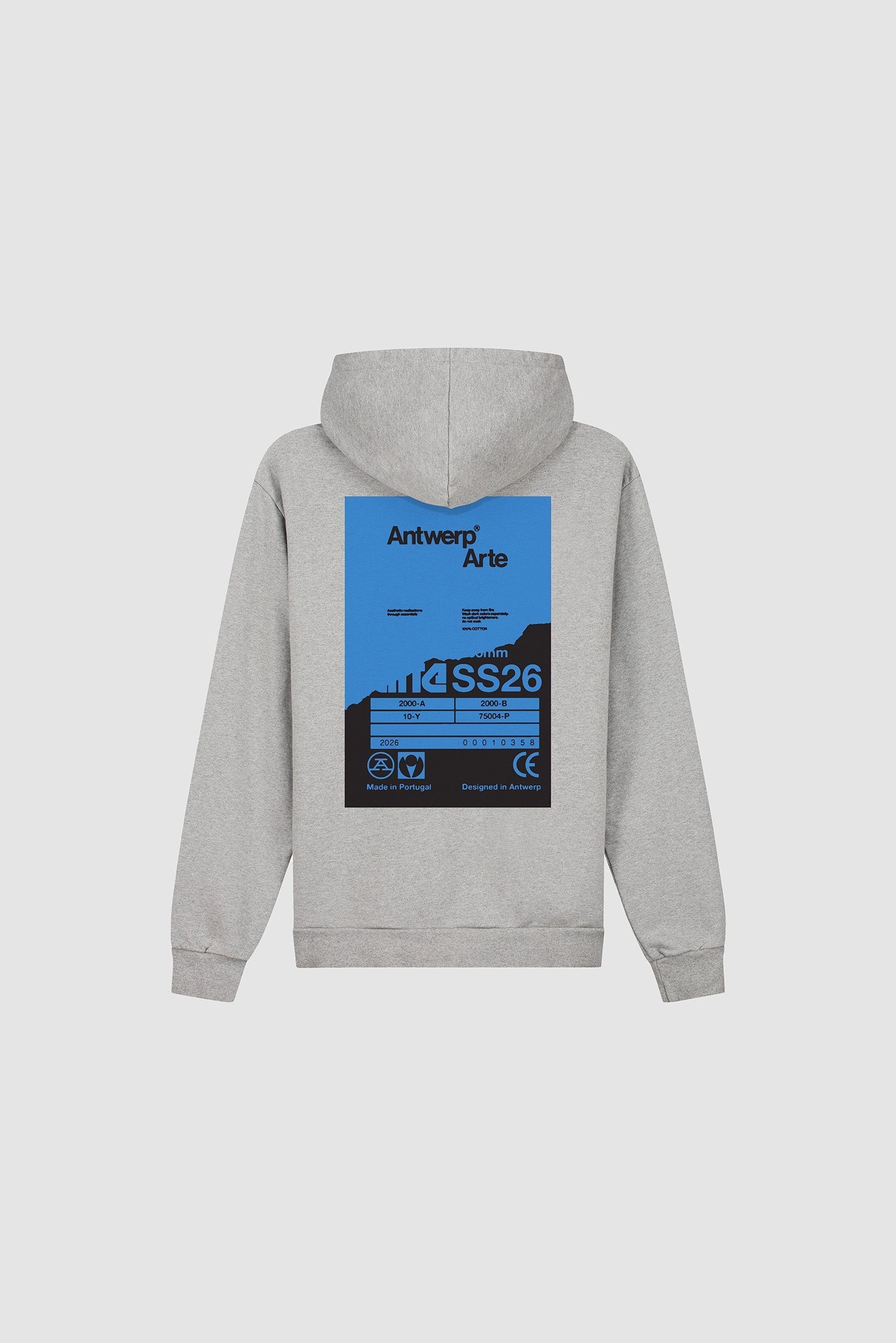 Sweat à capuche avec poster dans le dos - Gris