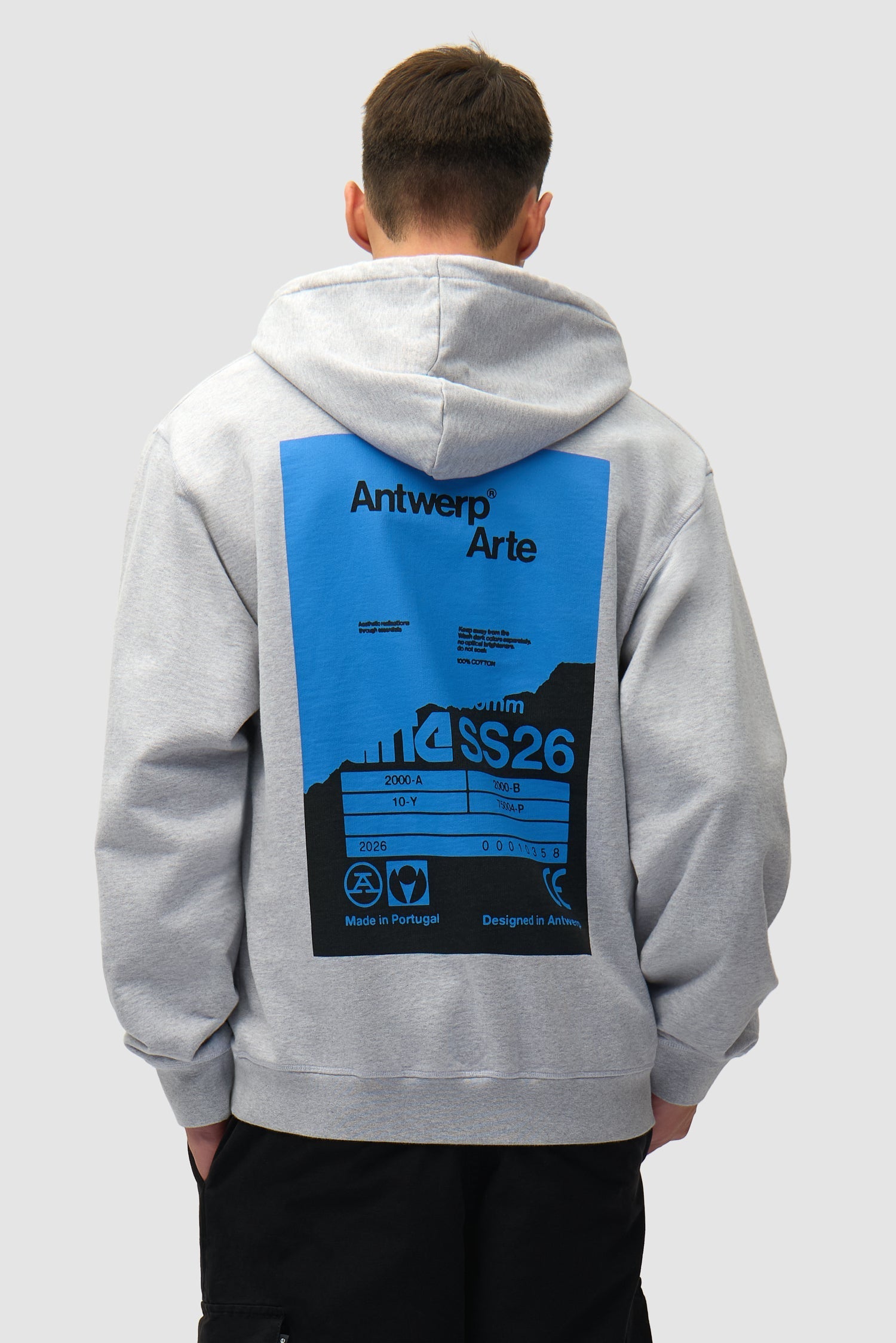 Sweat à capuche avec poster dans le dos - Gris