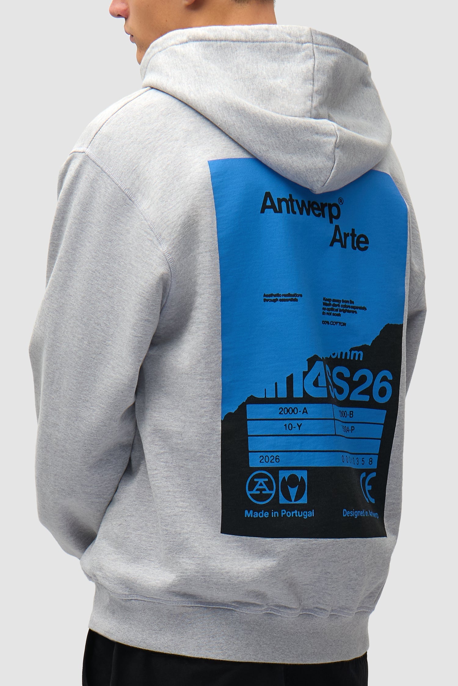 Sweat à capuche avec poster dans le dos - Gris
