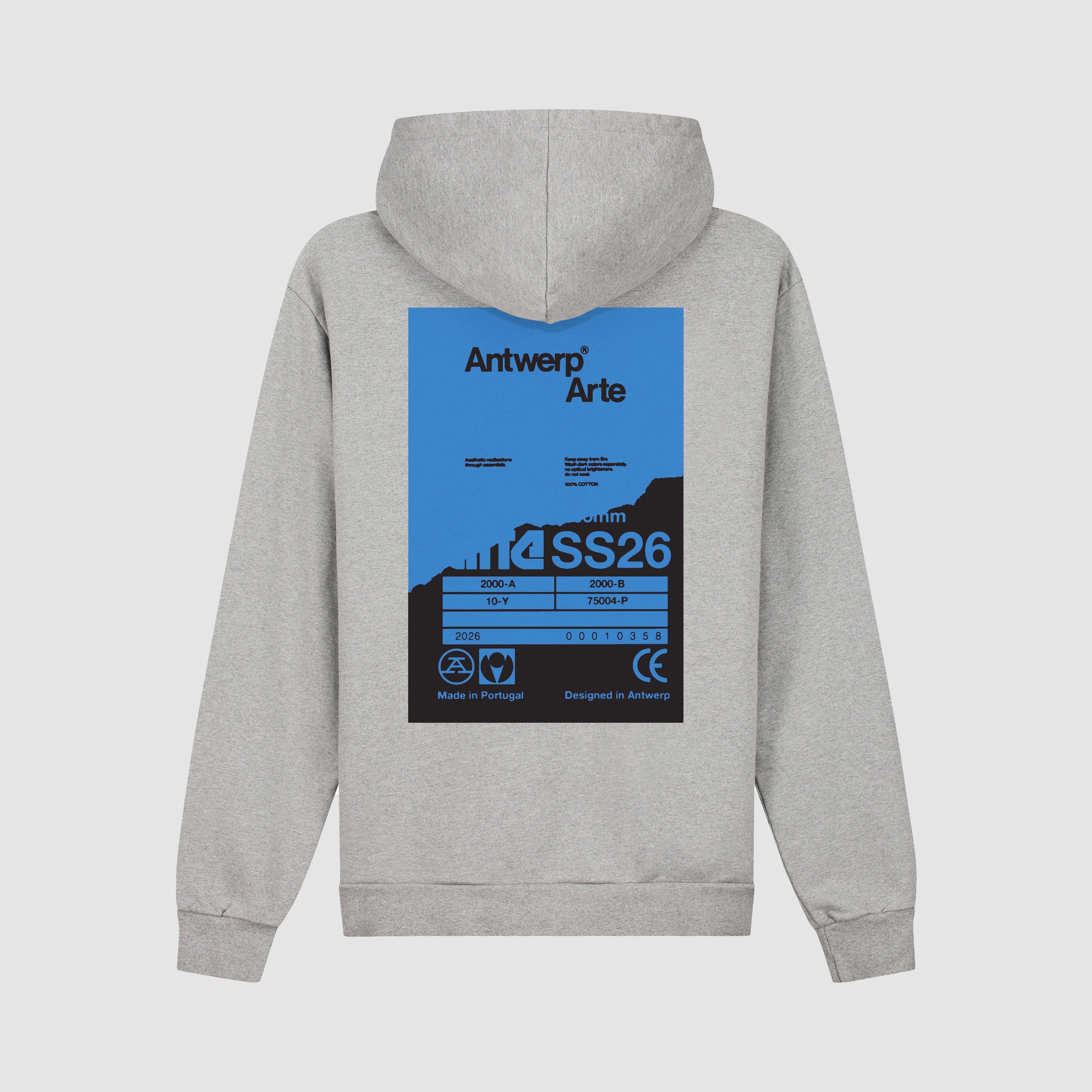 Sweat à capuche avec poster dans le dos - Gris